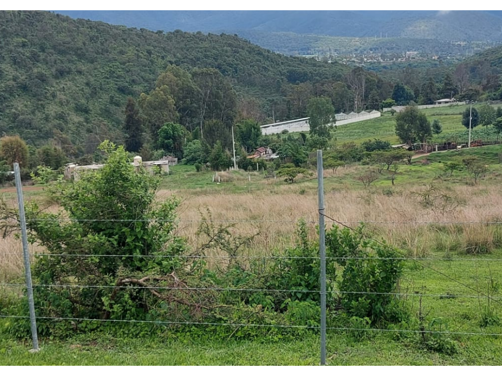 TERRENO EN VENTA, TILOXTOC CERCA DE VALLE SAN NICOLAS — foto 3