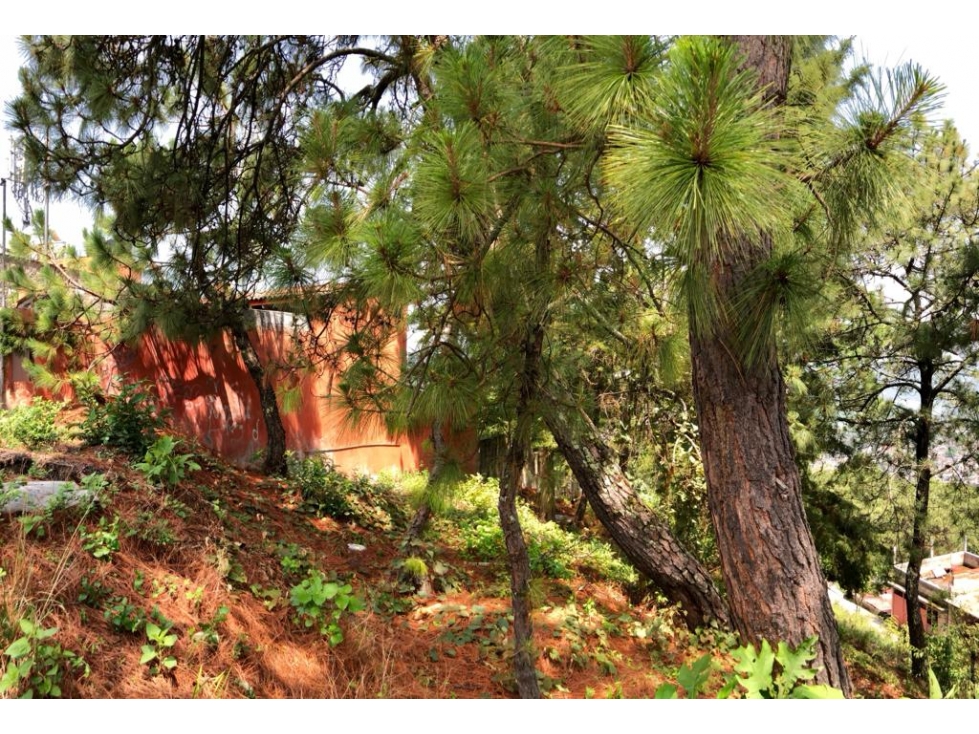 TERRENO MISIÓN — foto 4