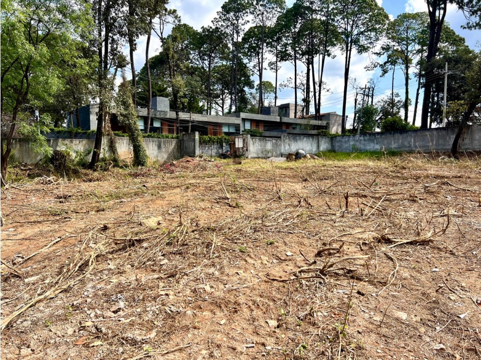 TERRENO PARA DESARROLLAR AVANDARO — foto 4