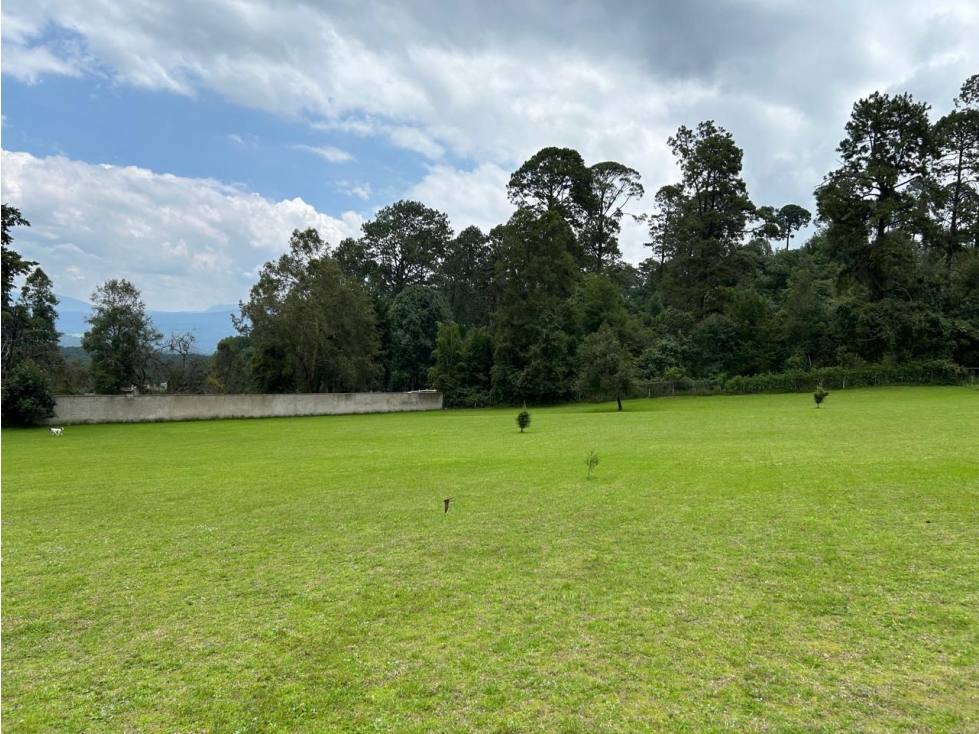 TERRENO EN CERRO GORDO — foto 3