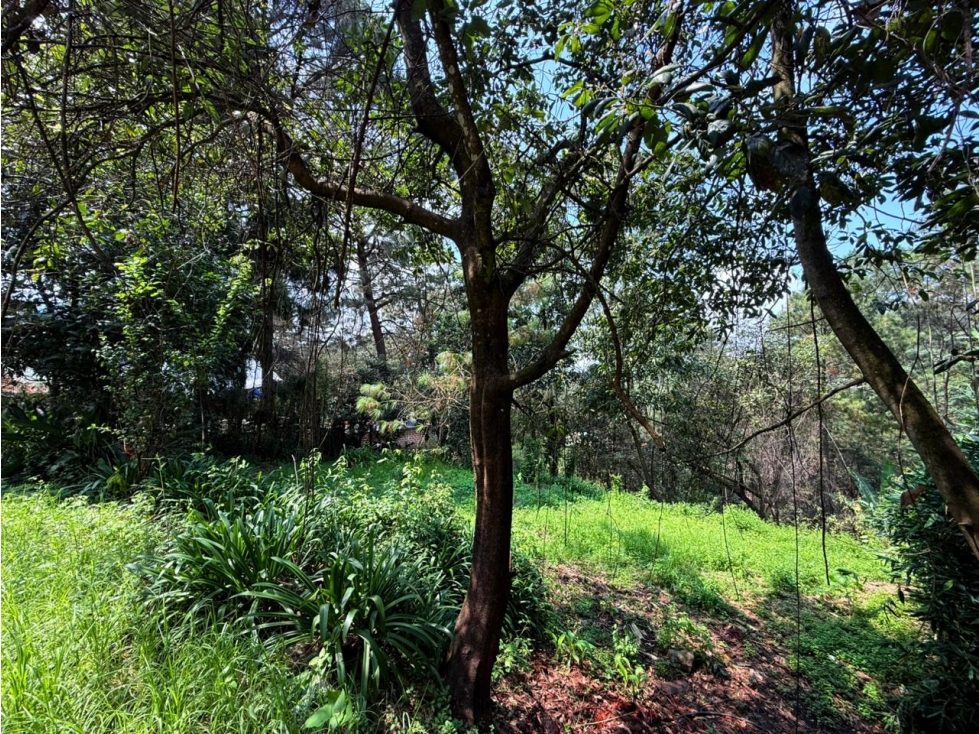 TERRENO CIRCUITO — foto 3