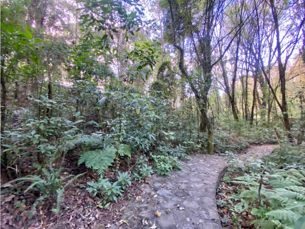 TERRENO EN VENTA, "LAS GOLONDRINAS" — foto 5
