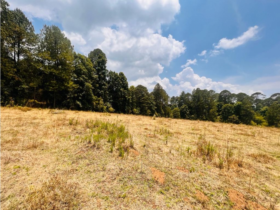 TERRENO EN VENTA EN VALLE DE BRAVO, SAUCOS. - 4