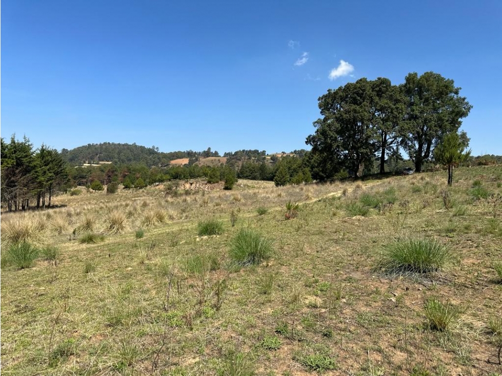 TERRENO EN VENTA EN SAN BARTOLO — foto 5