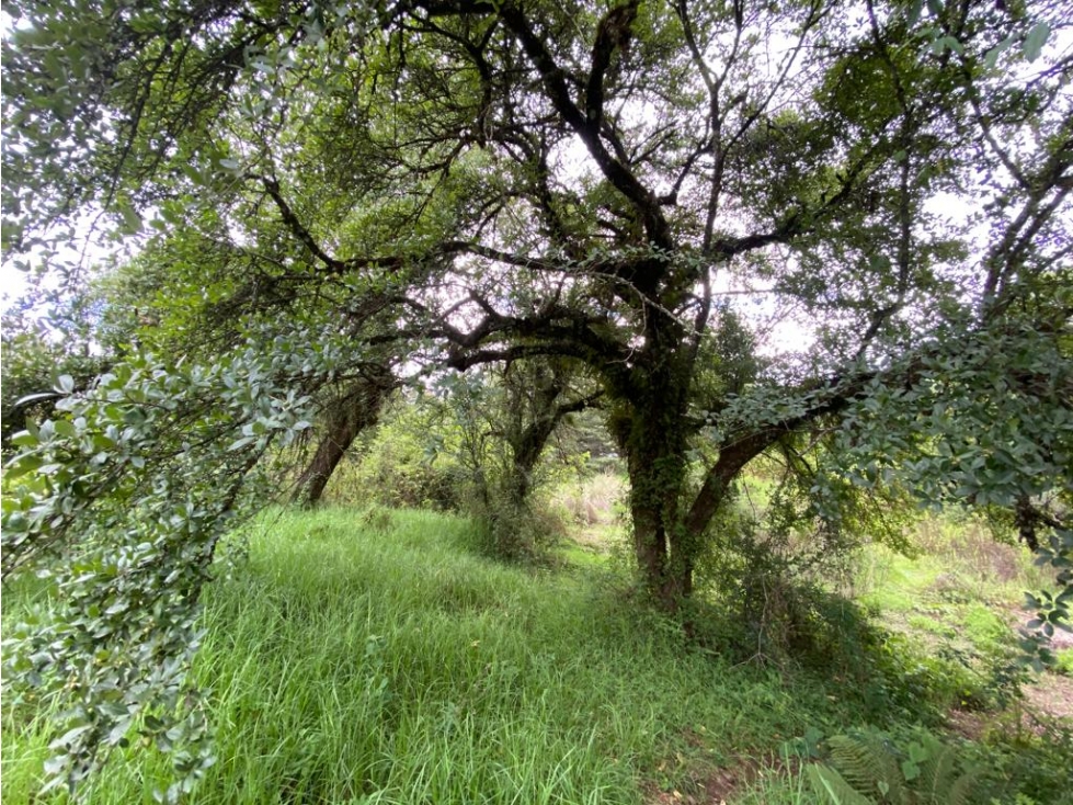 TERRENO EN FRACCIONAMIENTO 1 — foto 5