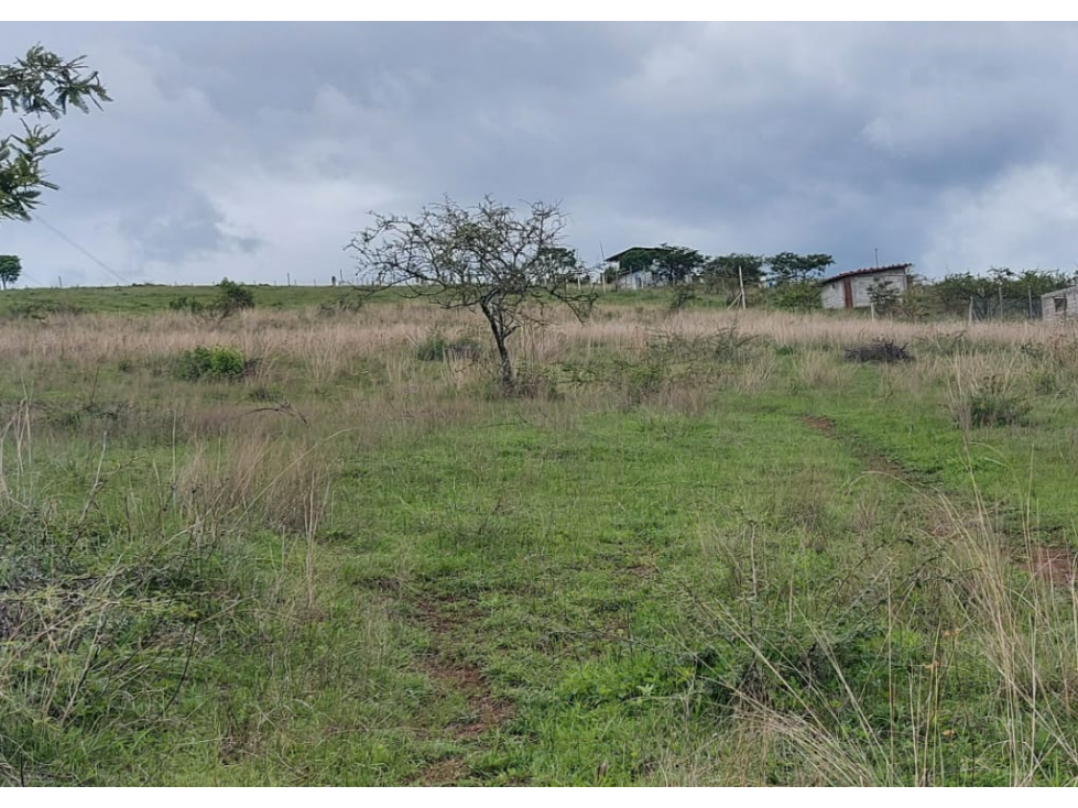 TERRENO EN VENTA, TILOXTOC CERCA DE VALLE SAN NICOLAS — foto 4