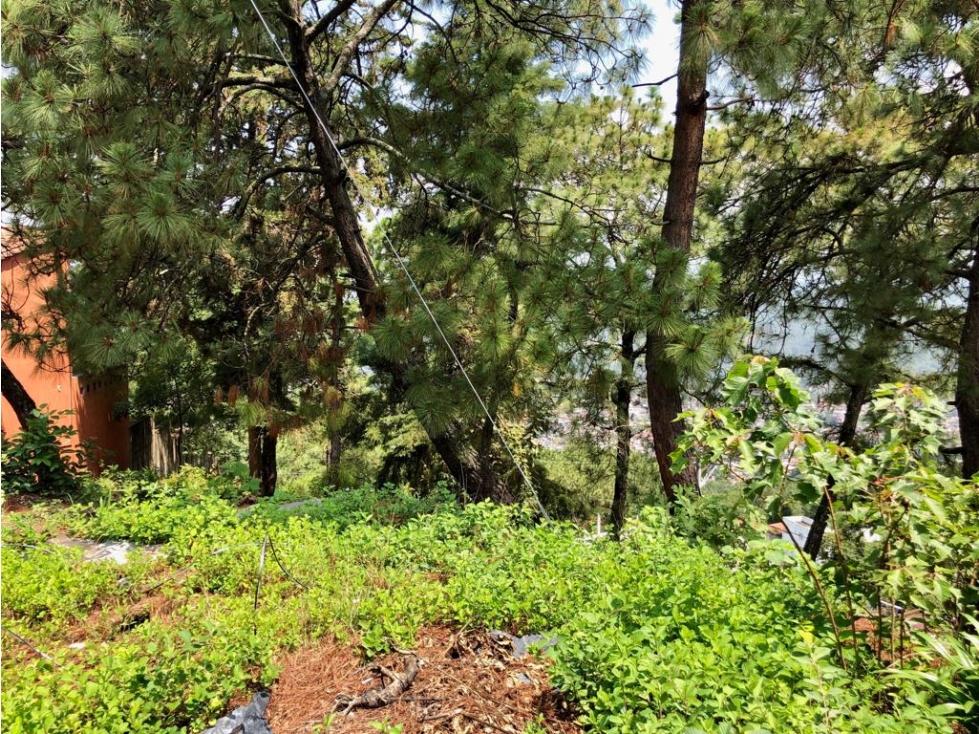 TERRENO MISIÓN — foto 5