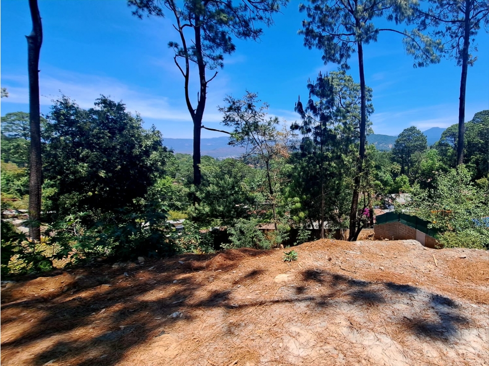 TERRENO EN VENTA CONDOMINIO EN AVANDARO — foto 5