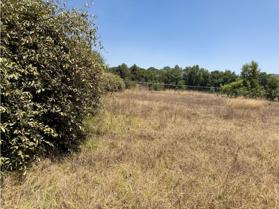 TERRENO EN VENTA EN ACATITLAN — foto 4