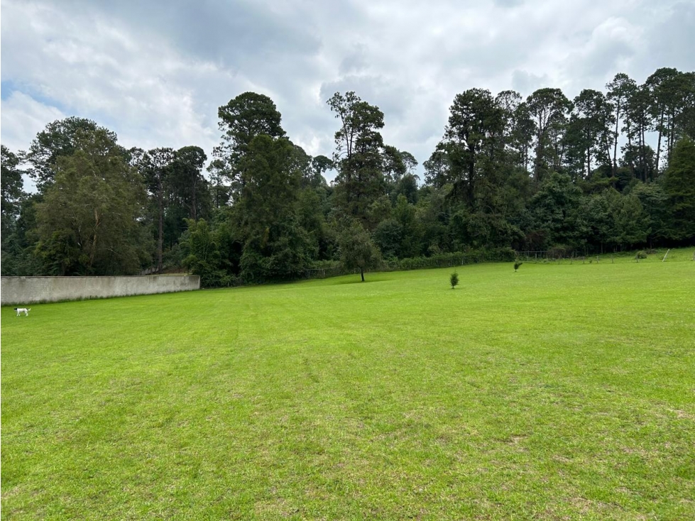TERRENO EN CERRO GORDO — foto 4
