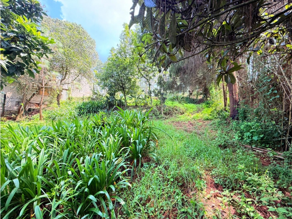 TERRENO CIRCUITO — foto 4