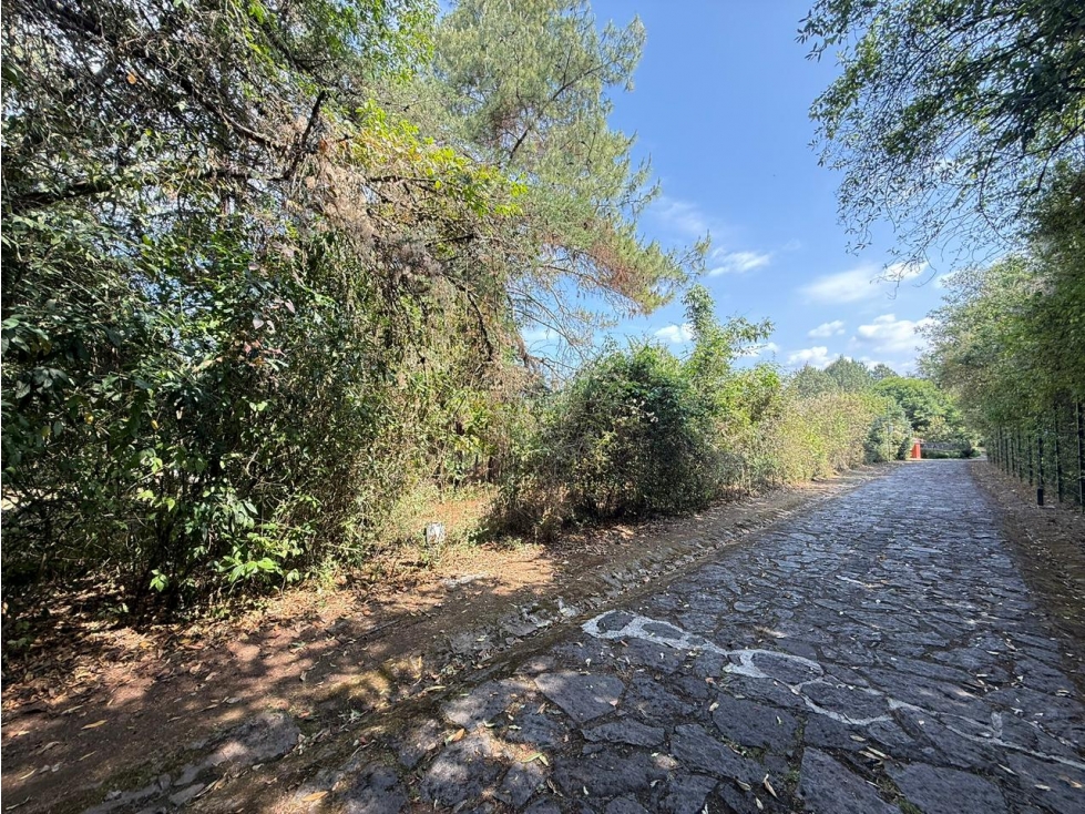 LOTE VALLE SANTANA — foto 2