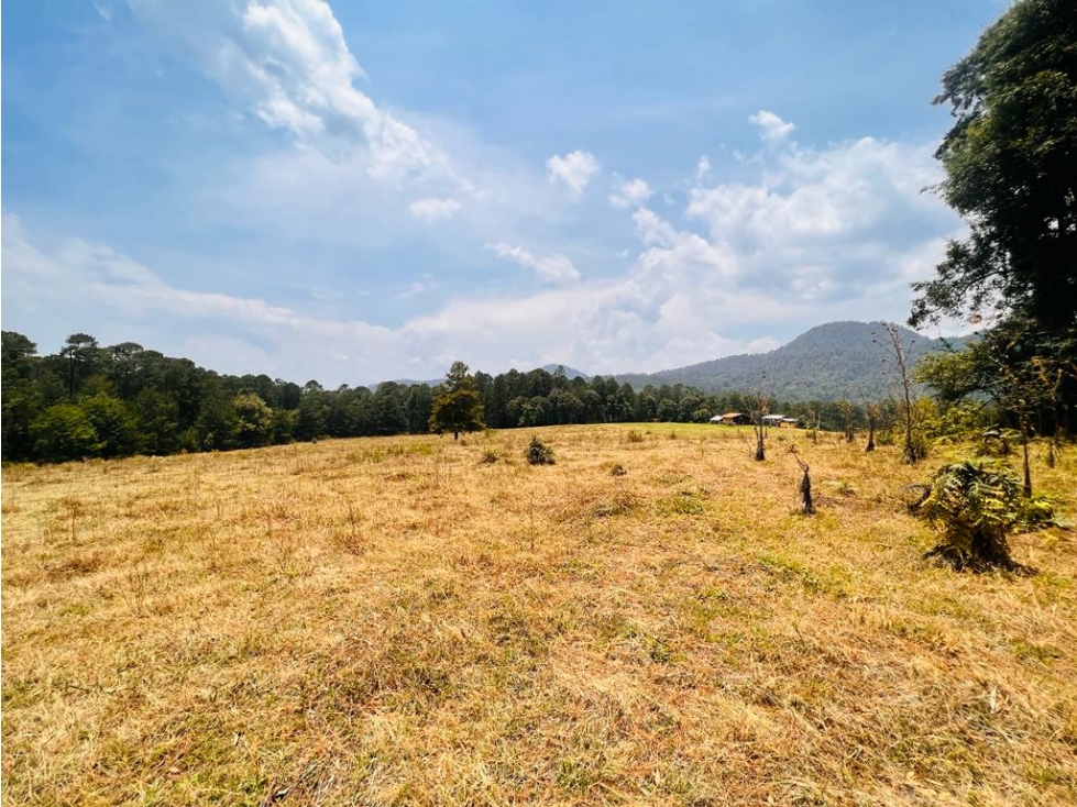 TERRENO EN VENTA EN VALLE DE BRAVO, SAUCOS. - 5