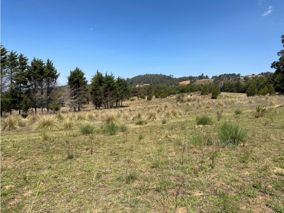 TERRENO EN VENTA EN SAN BARTOLO — foto 6