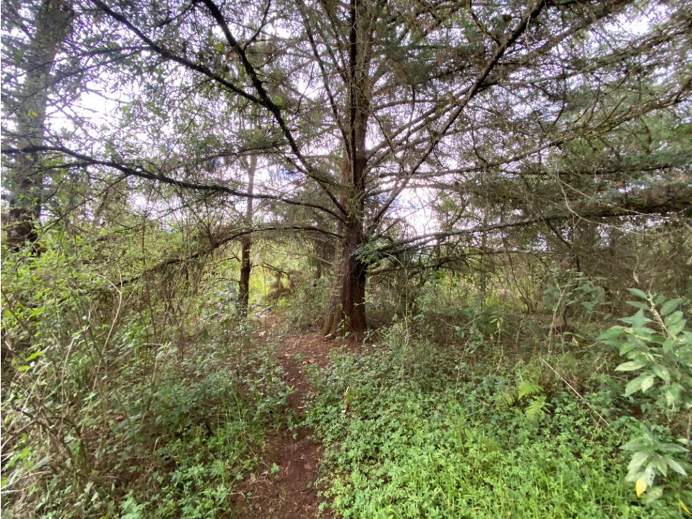TERRENO EN FRACCIONAMIENTO 1 — foto 6