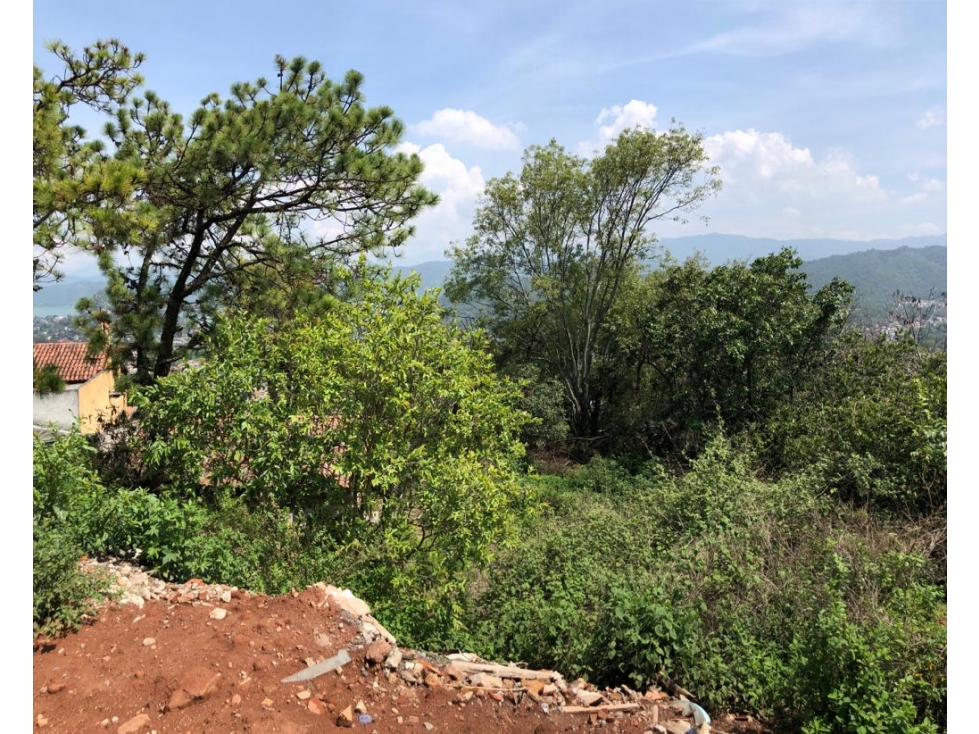 TERRENO LA VISTA — foto 6