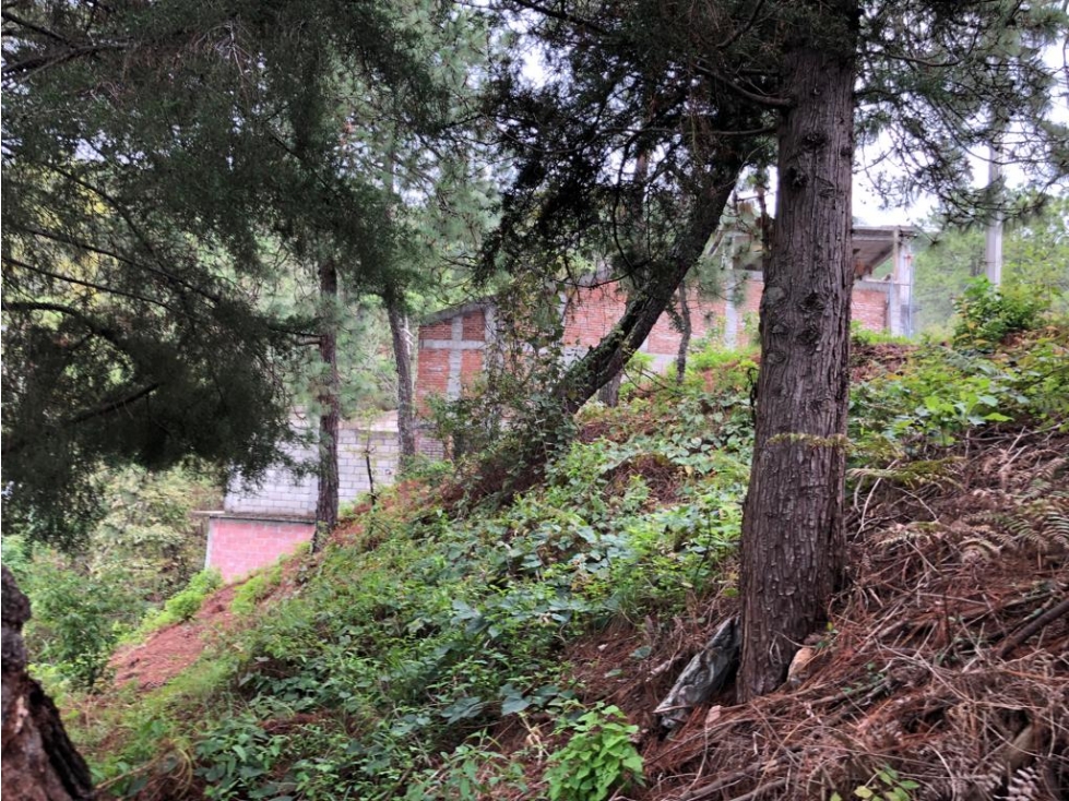 TERRENO MISIÓN — foto 6