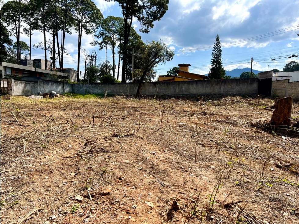 TERRENO PARA DESARROLLAR AVANDARO — foto 5