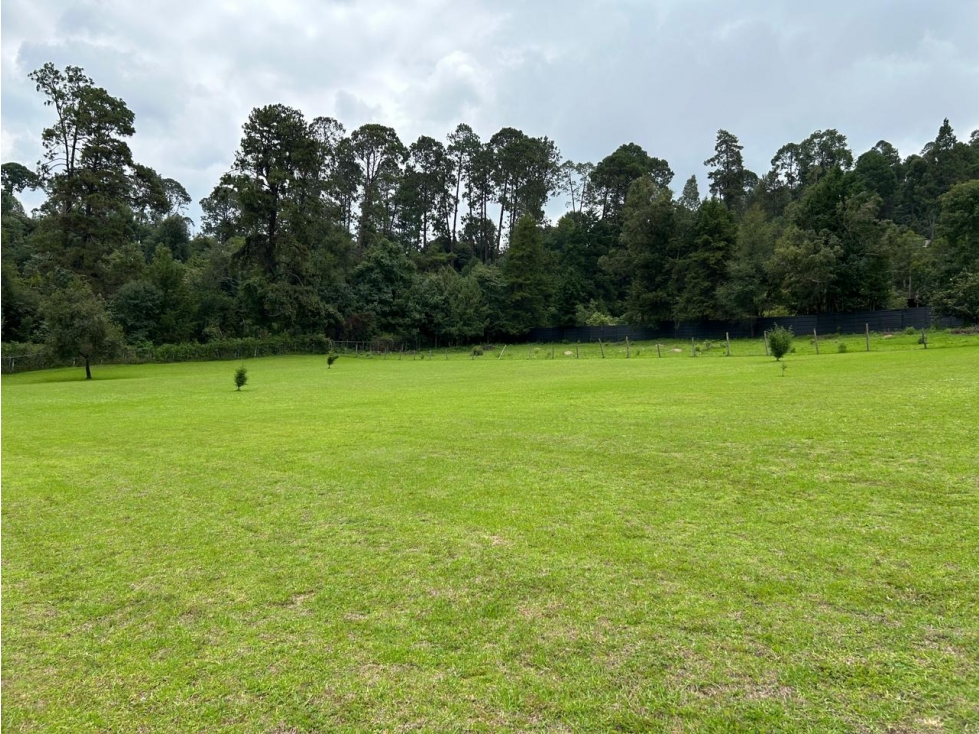 TERRENO EN CERRO GORDO — foto 5