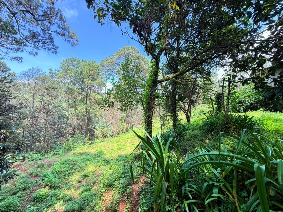 TERRENO CIRCUITO — foto 5