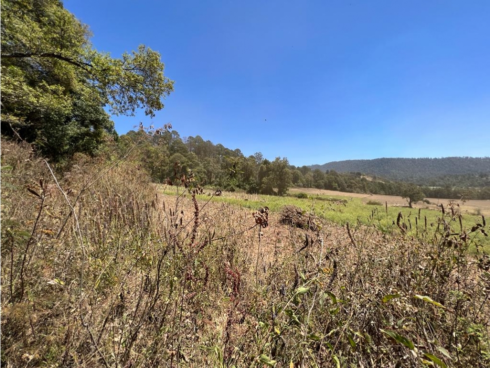 TERRENO 16 HECTÁREAS, MESA DE DOLORES, VALLE DE BRAVO — foto 5