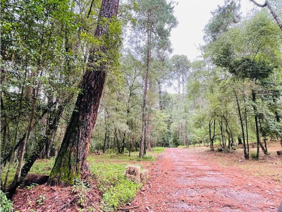 ALTO AVÁNDARO — foto 2