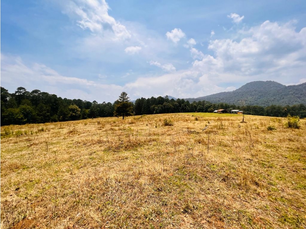 TERRENO EN VENTA EN VALLE DE BRAVO, SAUCOS. - 6
