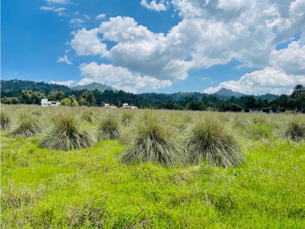 TERRENO EN VENTA, VALLE SANTANA. — foto 2