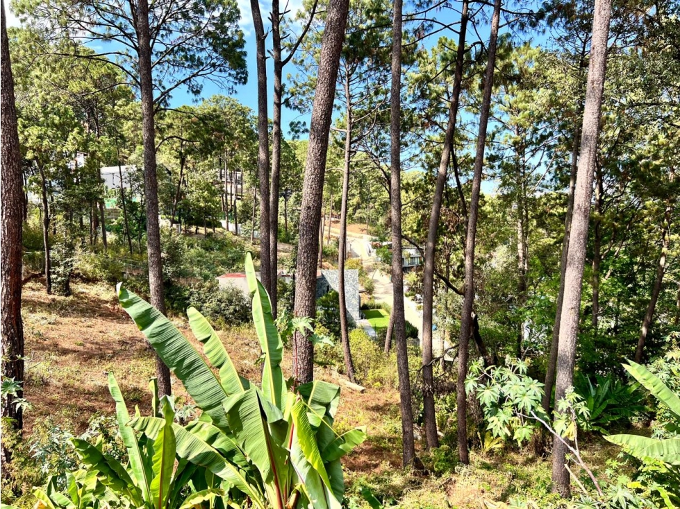 TERRENO PARA DESARROLLAR AVANDARO — foto 2