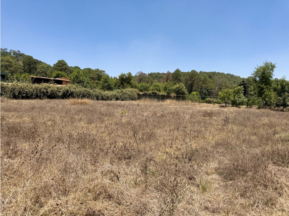 TERRENO EN VENTA EN ACATITLAN — foto 5