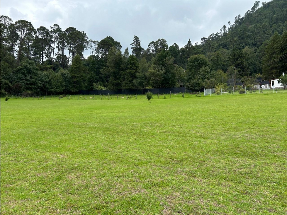 TERRENO EN CERRO GORDO — foto 6