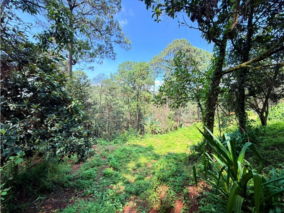 TERRENO CIRCUITO — foto 6