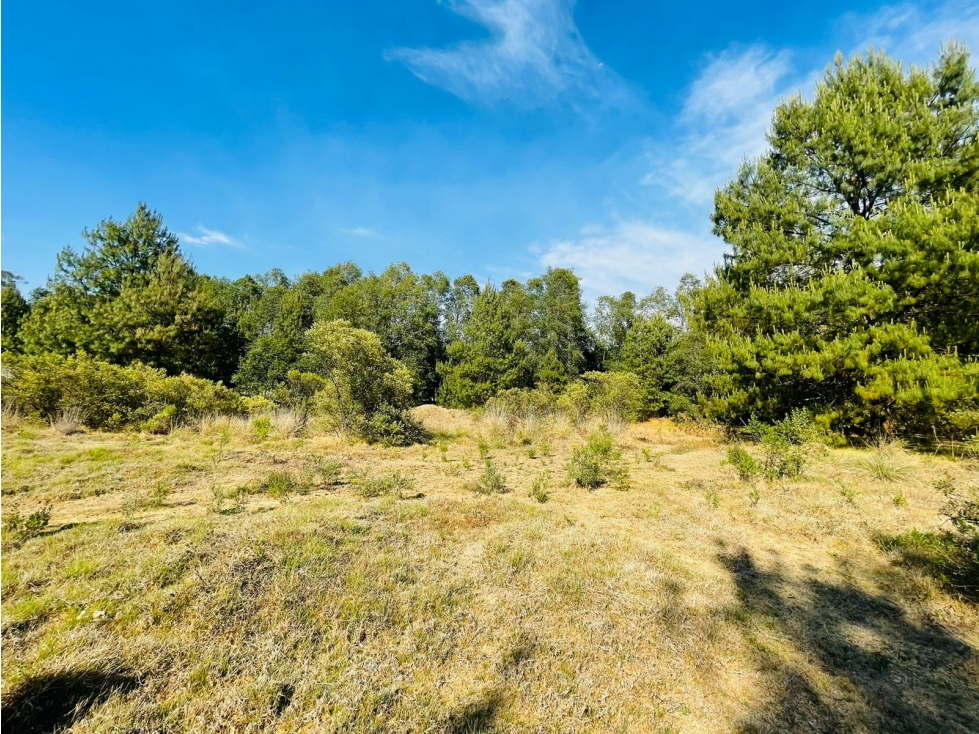 RANCHO SAN RAMON - 6