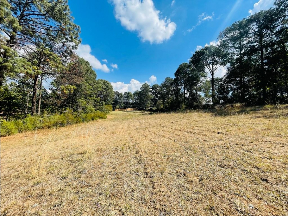 TERRENO CERRO COLORADO