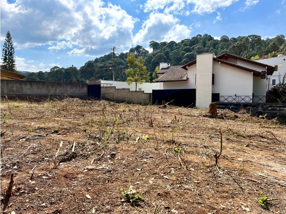 TERRENO PARA DESARROLLAR AVANDARO — foto 6