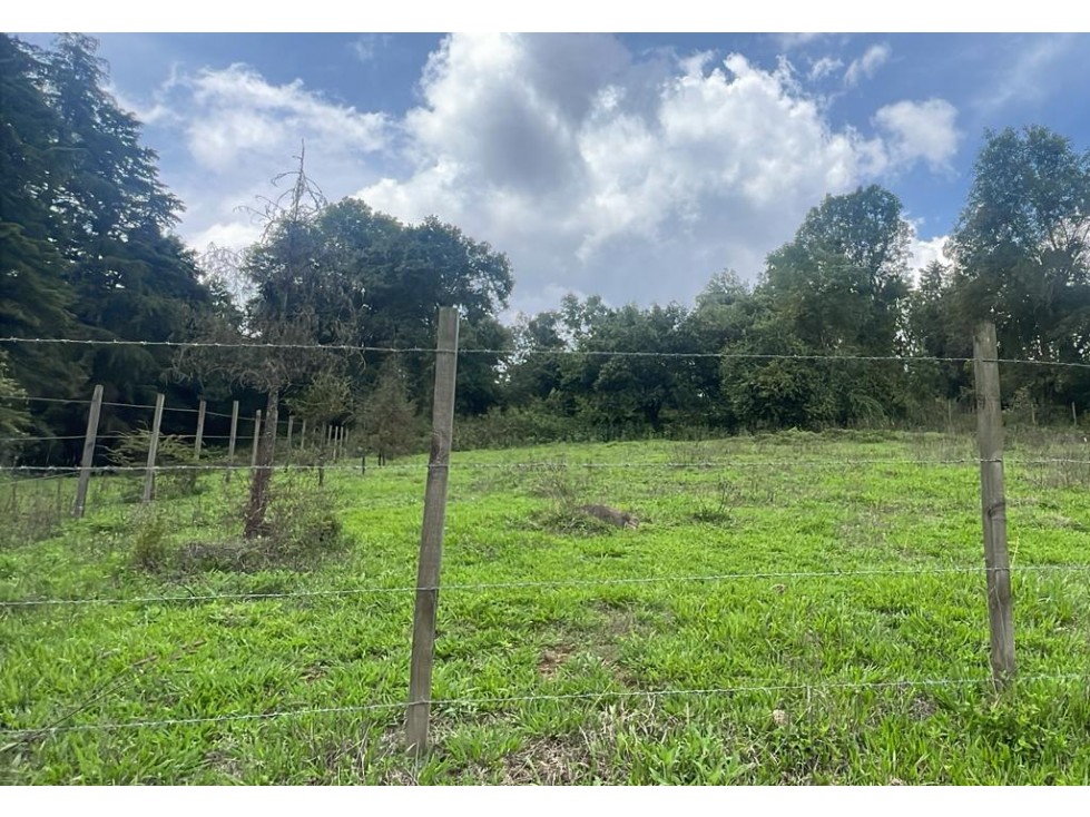 TERRENO EN VENTA EN ACATITLÁN, VALLE DE BRAVO - 6