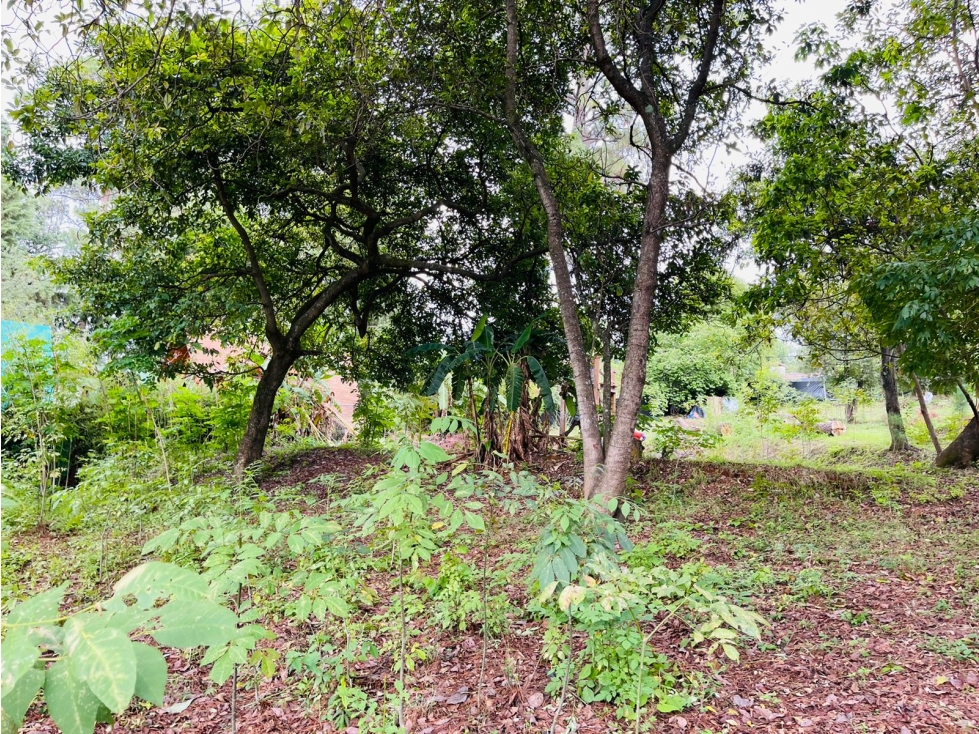 TERRENO FONTANA RICA AVANDARO — foto 6
