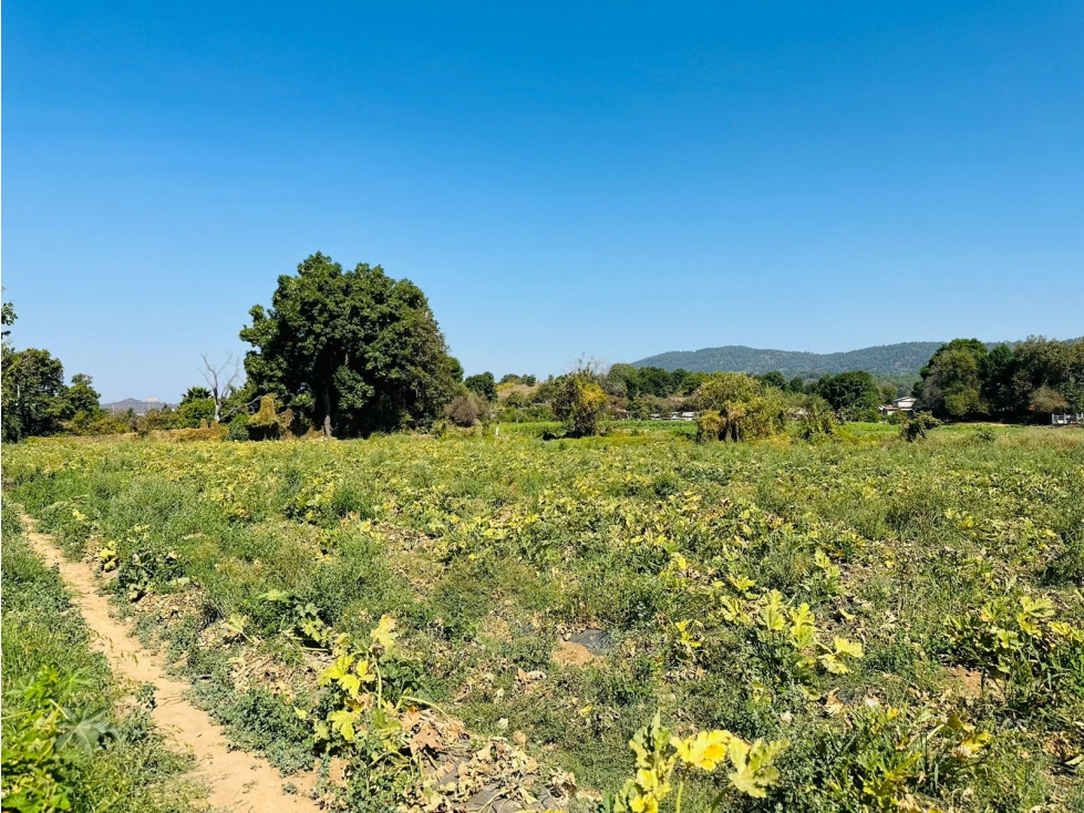 TERRENO CON VISTA PANORAMICA