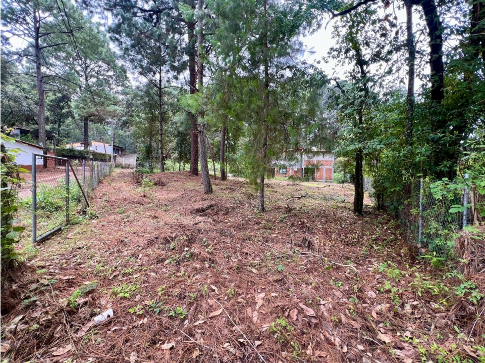 TERRENO EN VENTA CERCA DEL CLUB DE GOLF — foto 4