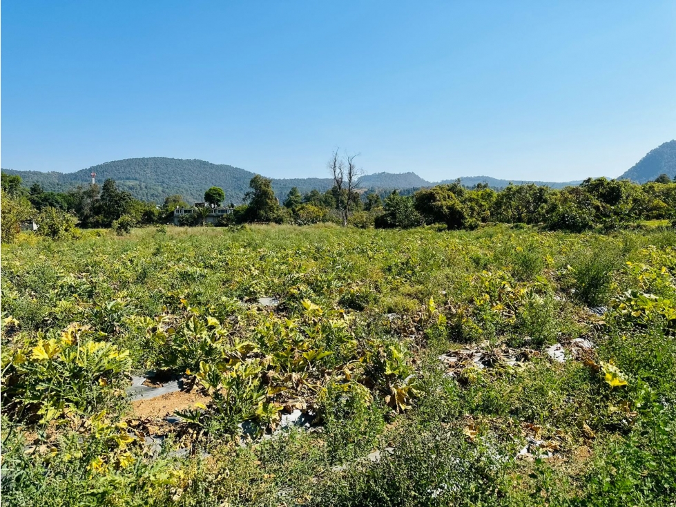 TERRENO CON VISTA PANORAMICA — foto 2