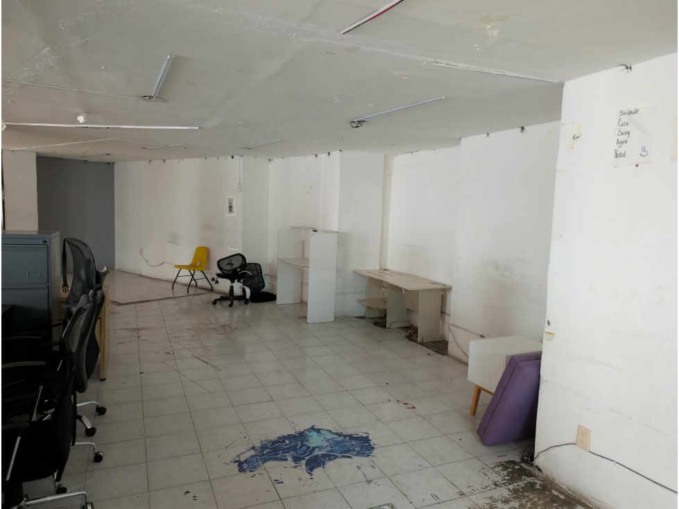 Renta de Oficina de 117 m2 2 Privados 2 Baños Integrados Roma Norte