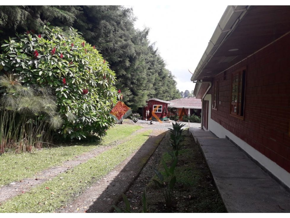 VENDO FINCA TURISTICA Y GANADERA VÍA ARMENIA COD 3121055 — foto 6