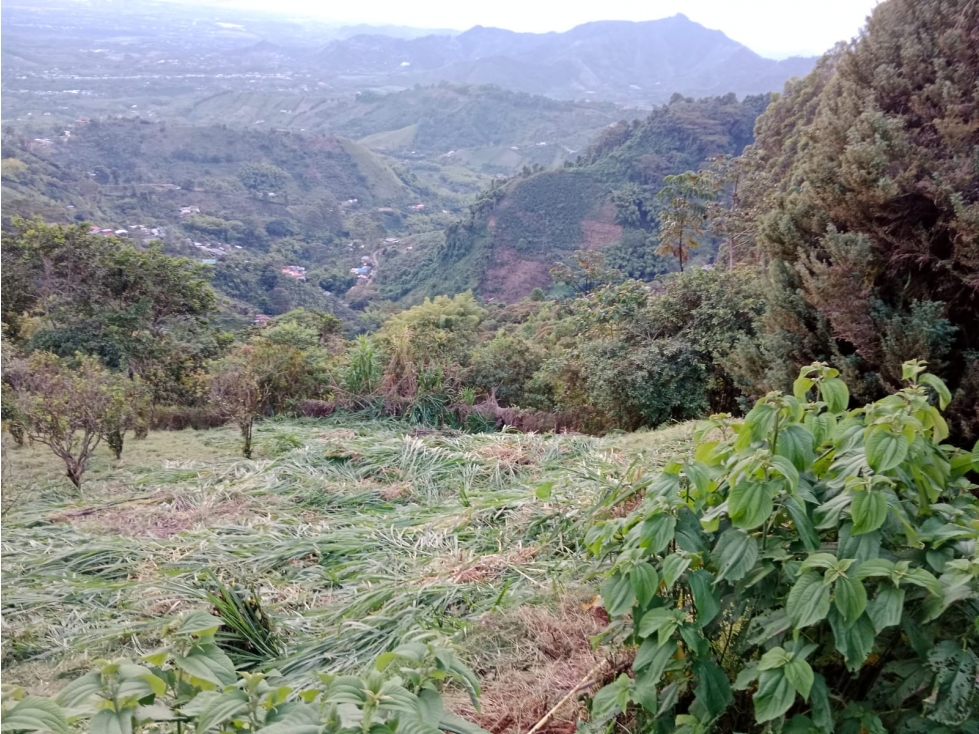 VENTA DE LOTE EN EL SECTOR DE COMBIA COD 9679476 — foto 4