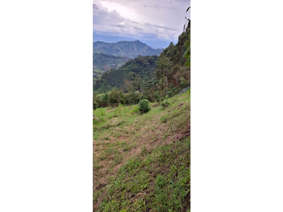 VENTA DE LOTE EN EL SECTOR DE COMBIA COD 9679476 — foto 5
