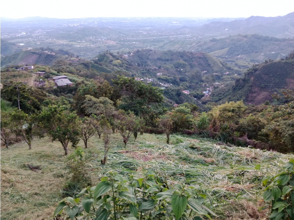 VENTA DE LOTE EN EL SECTOR DE COMBIA COD 9679476 — foto 6