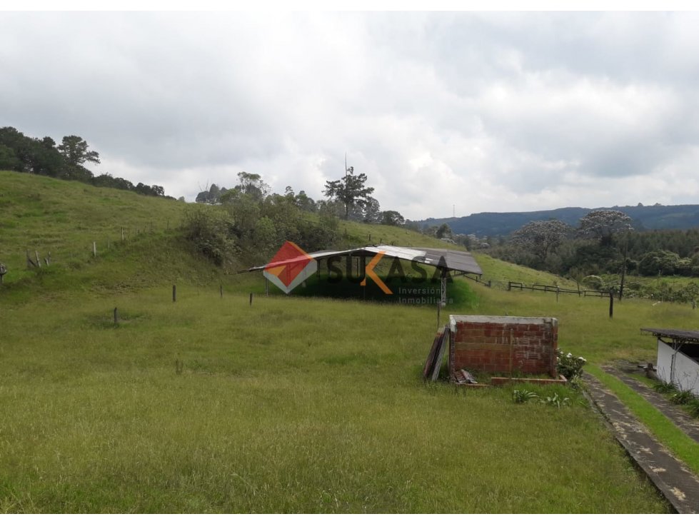 VENDO FINCA TURISTICA Y GANADERA VÍA ARMENIA COD 3121055 — foto 4