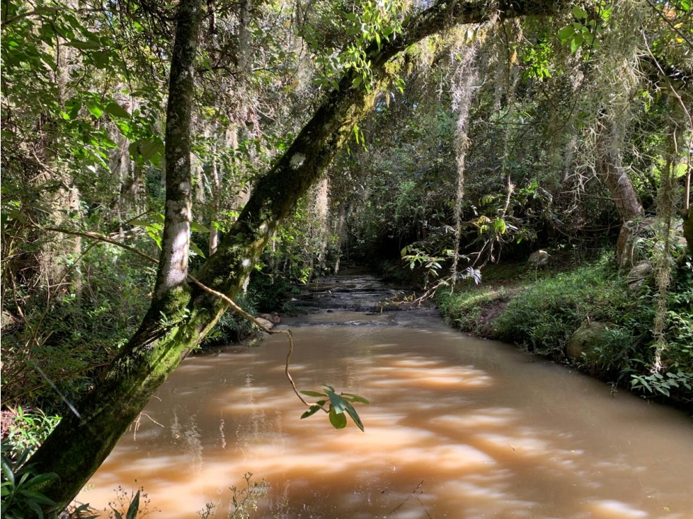 Lote Vereda Sabana Sector La Rosita - 1