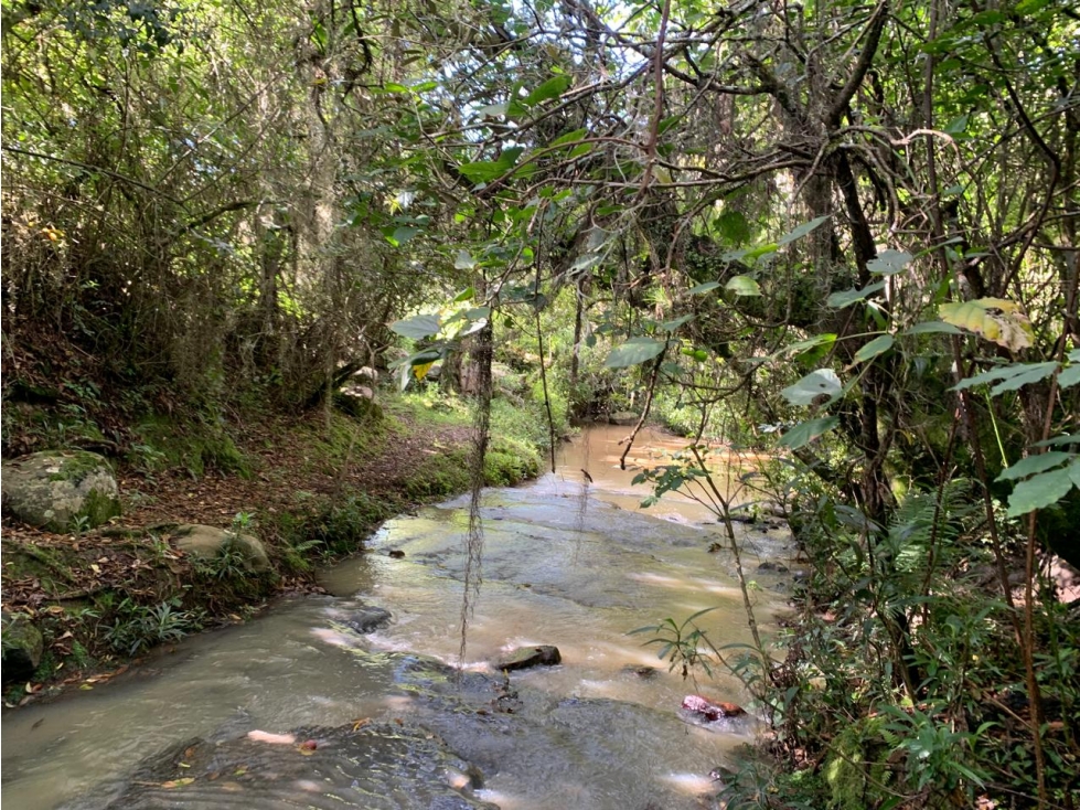 Lote Vereda Sabana Sector La Rosita - 6