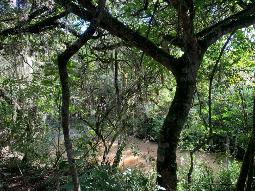 Lote Vereda Sabana Sector La Rosita - 2