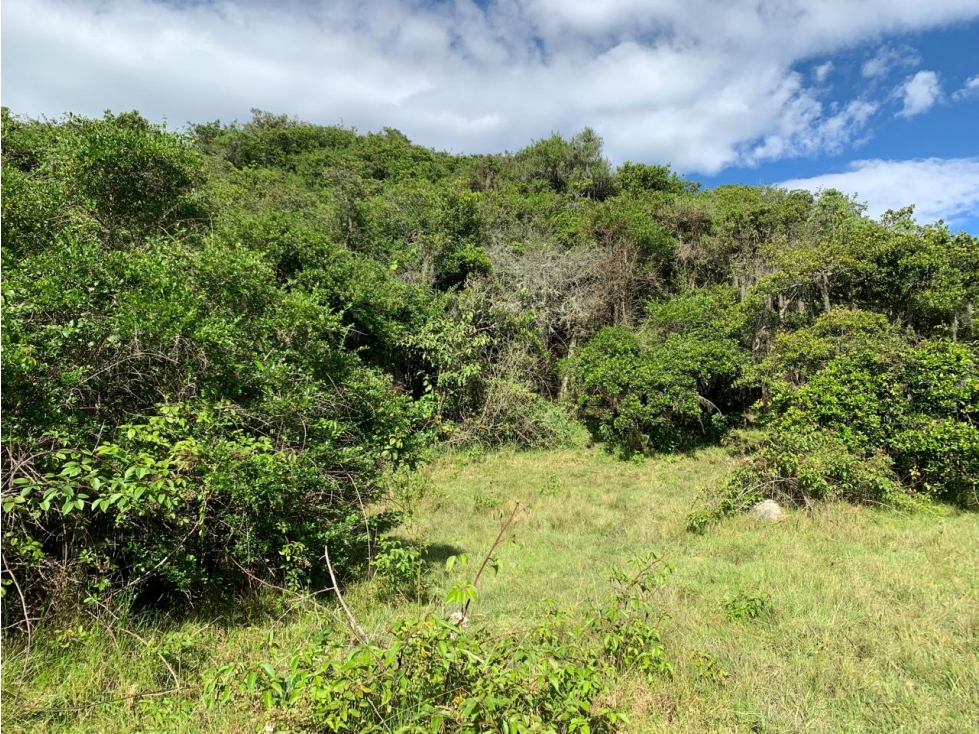 Lote Vereda Sabana Sector La Rosita - 3